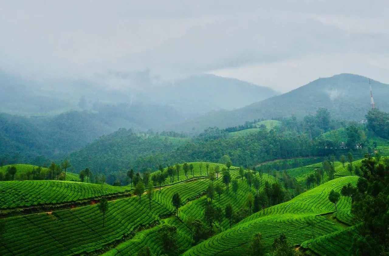 Homestay Lockhart Bungalow Munnar - A Cgh Earth Saha Experience