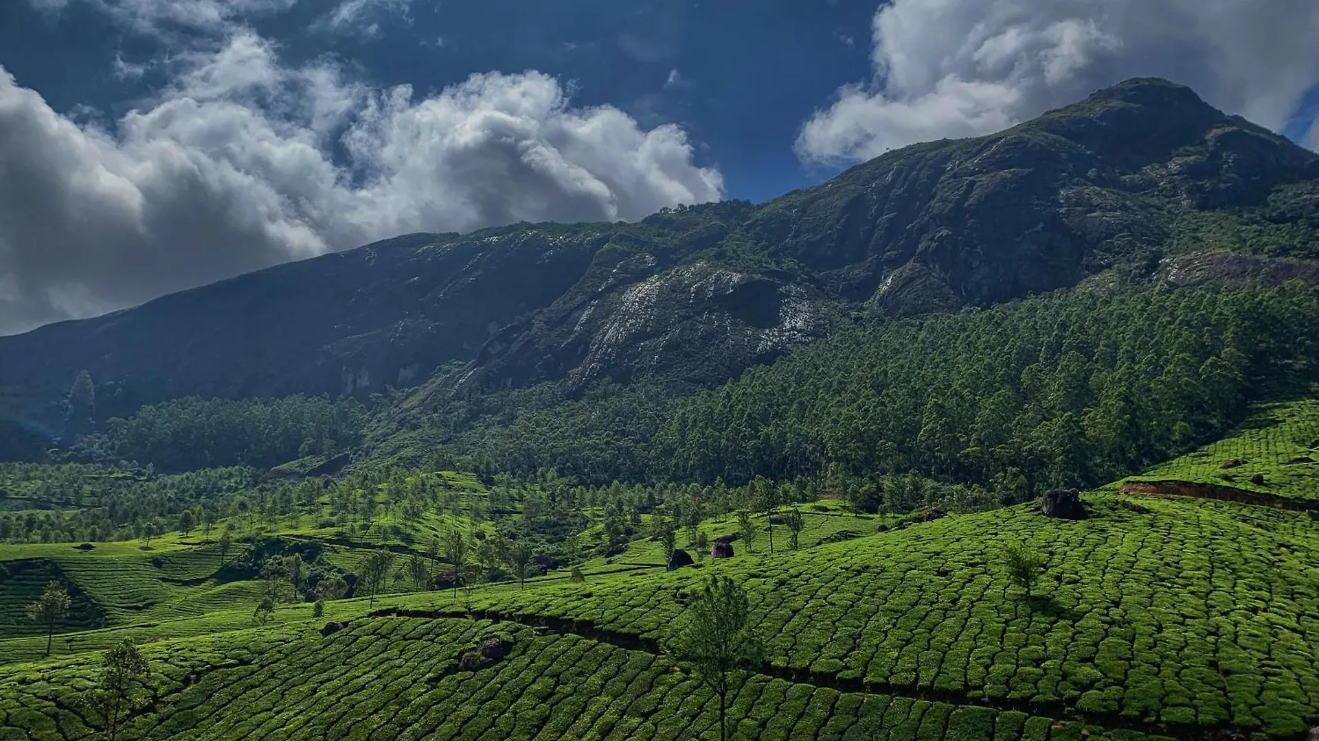 Lockhart Bungalow Munnar - A Cgh Earth Saha Experience 0*,  India
