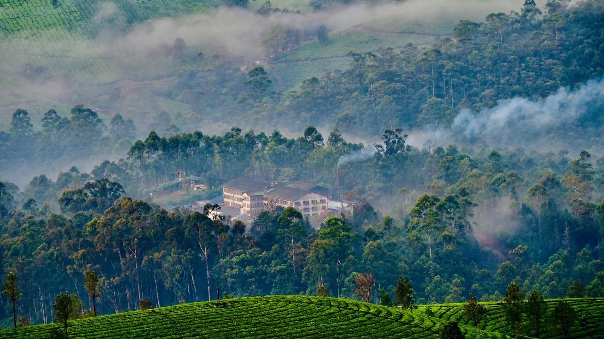 Lockhart Bungalow Munnar - A Cgh Earth Saha Experience Homestay
