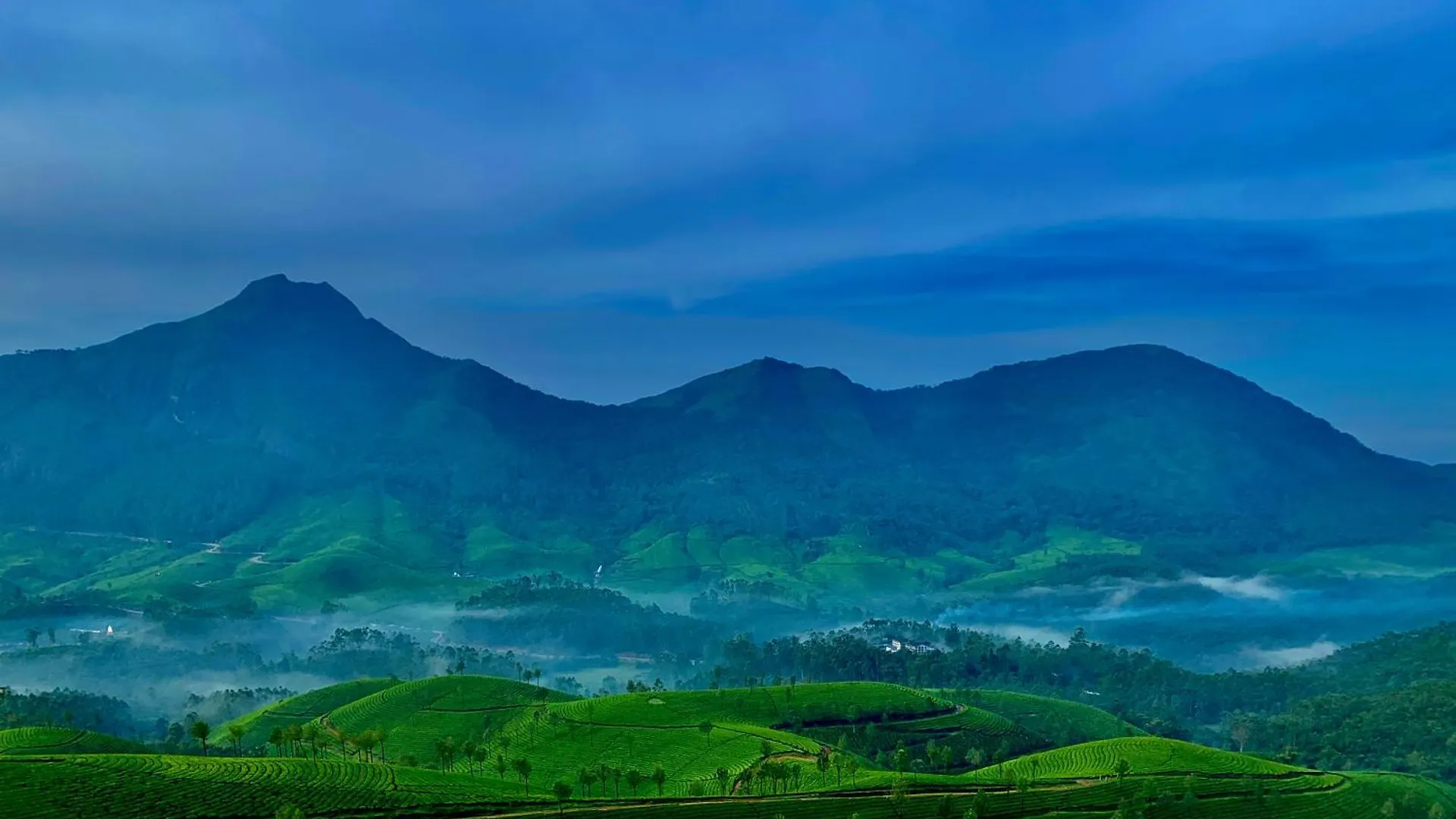 Lockhart Bungalow Munnar - A Cgh Earth Saha Experience India