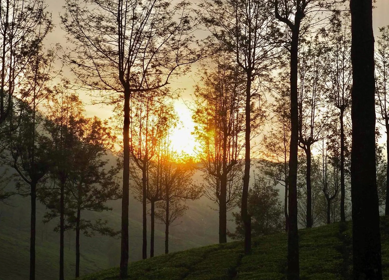 Homestay Lockhart Bungalow Munnar - A Cgh Earth Saha Experience